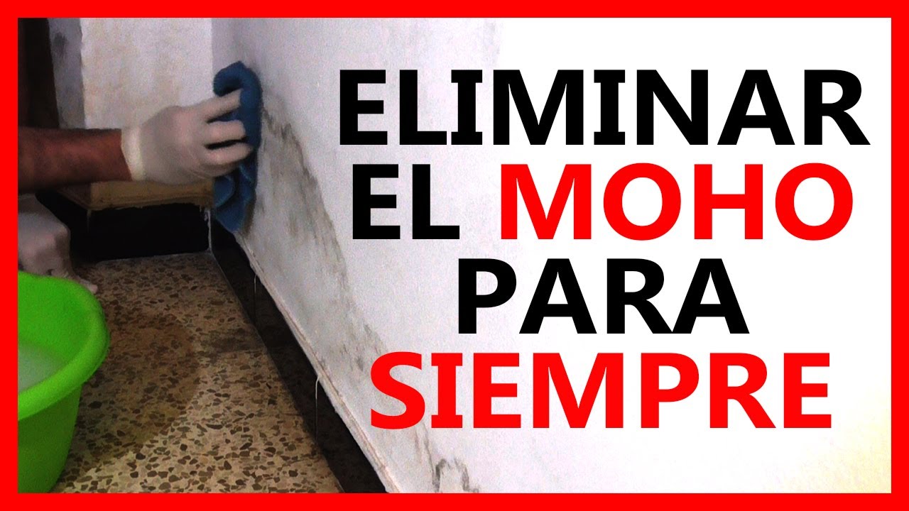 como-eliminar-el-moho-de-las-paredes-con-bicarbonato